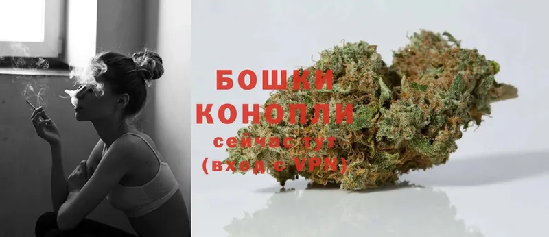 Каннабис SATIVA & INDICA  Ельня 